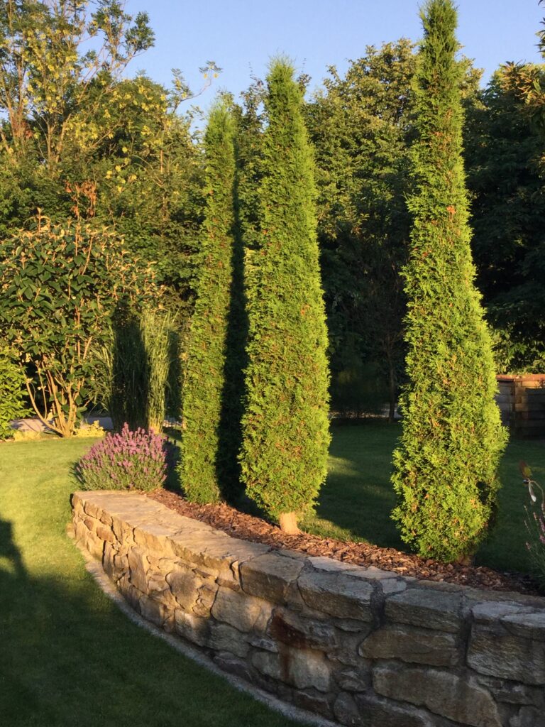 Gartengestaltung